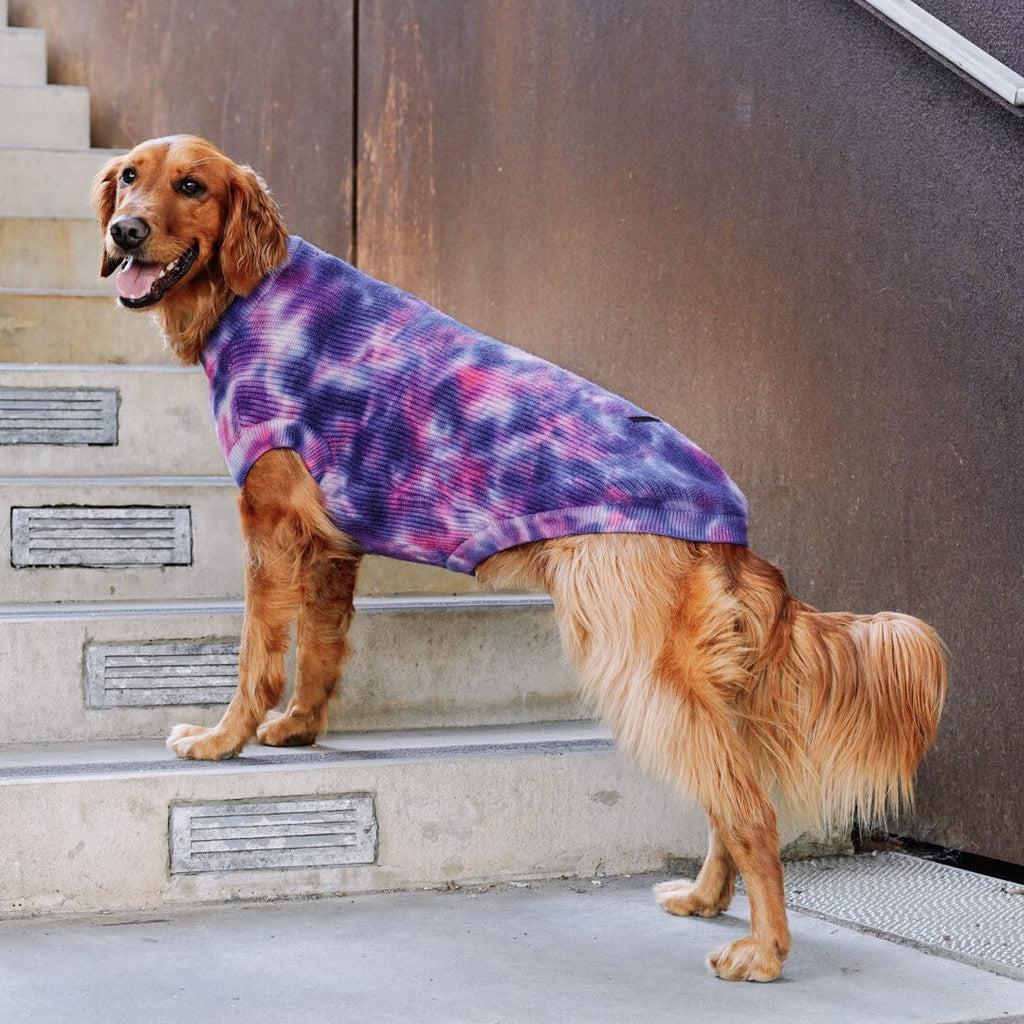 Wild Side Sweater - VRFL