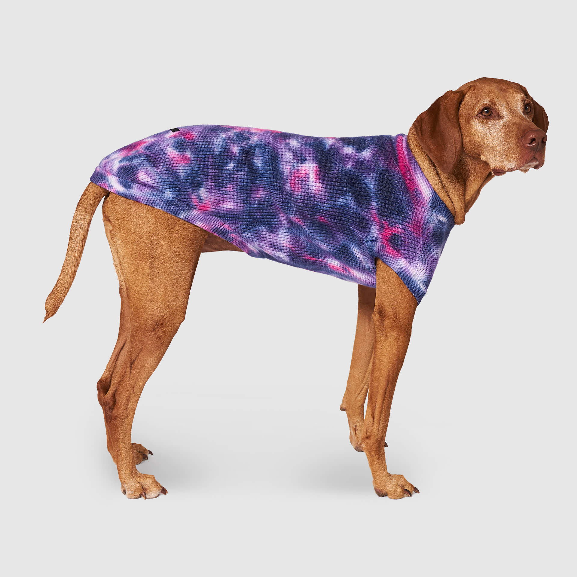 Wild Side Sweater - VRFL